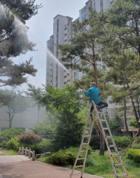 동천마을 2단지 수목소독