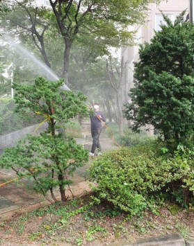 동림주공 수목소독