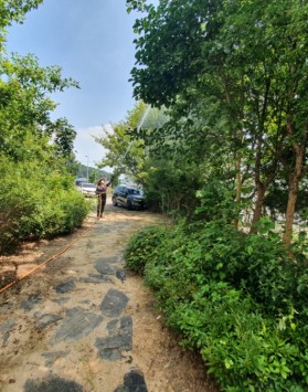완주 삼례 수목소독